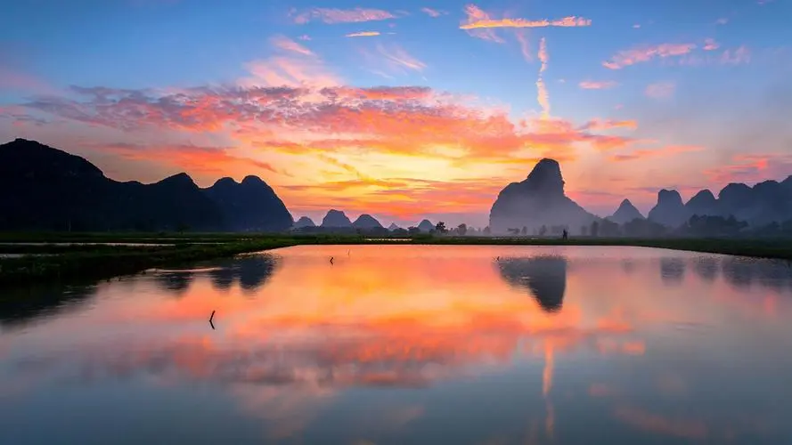 智能全自动高性能